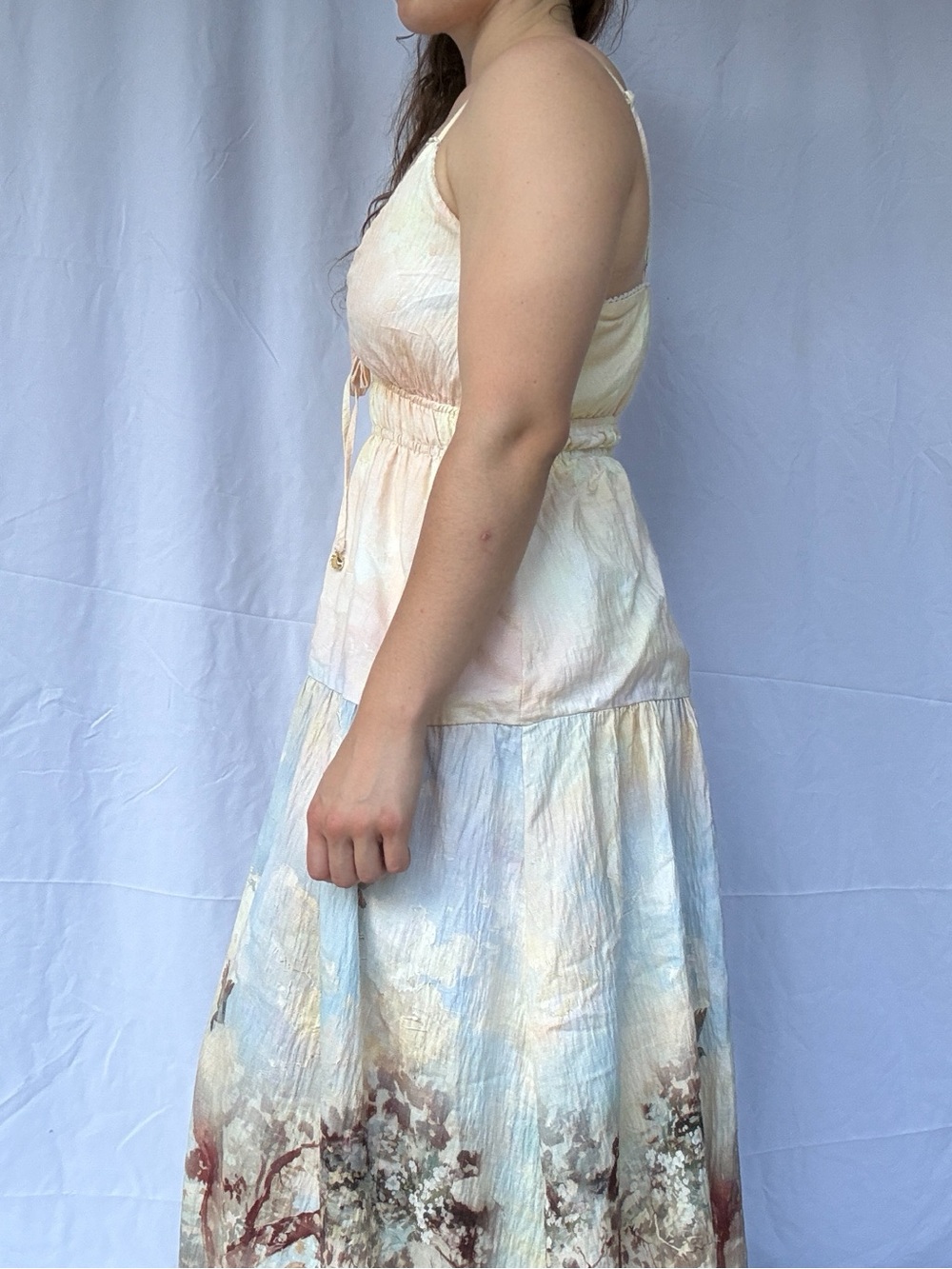 IRIS MAXI Pastoral Scenic Print Maxi Dress M Cottagecore Romantic Empire Waist - Picture 7 of 9